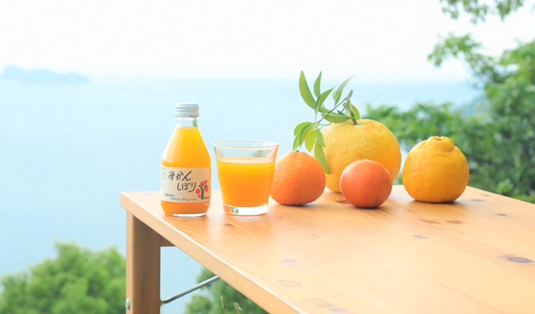 伊藤農園の風景