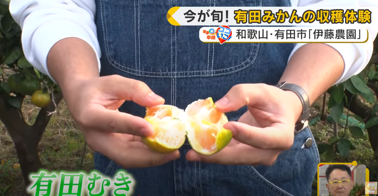 す・またん! ZIP! 内コーナー「すま金中継ココいこ！」に出演いたしました。