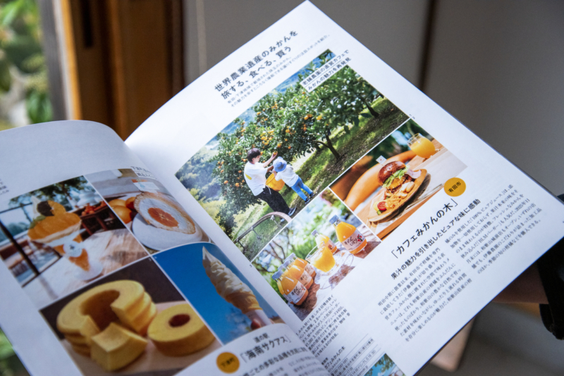 和歌山デイズ ページ