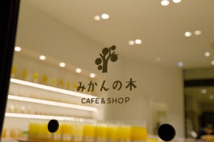 みかんの木2号店